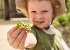 Child holding herb
