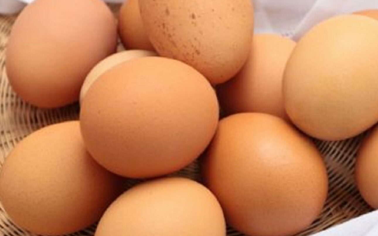 basket filled with eggs