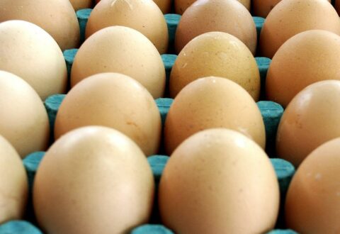 Image for Egg allergy