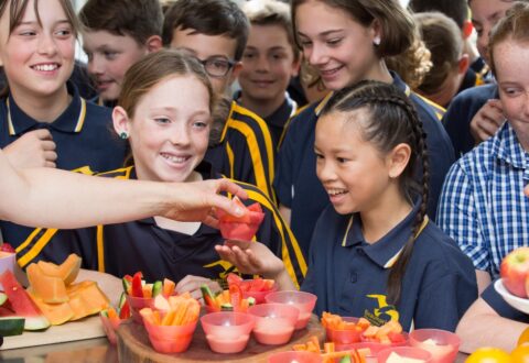 Image for Using FoodChecker for schools