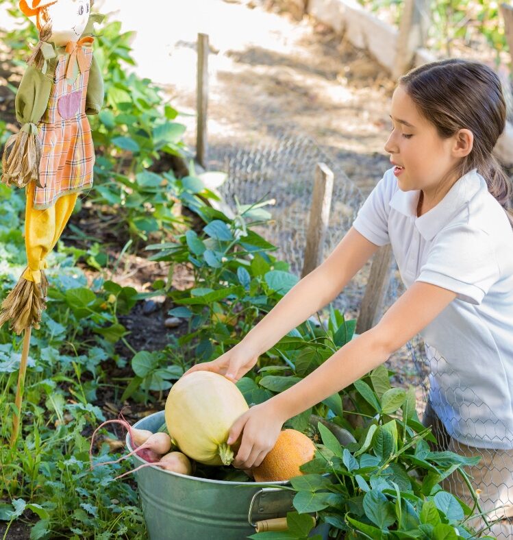 kid in a veggie patch