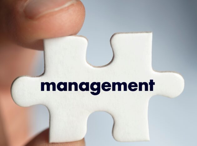 Puzzle piece that says 'management' on it