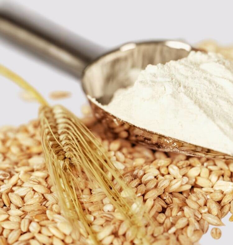 a scoop of flour on top of a pile of wheat