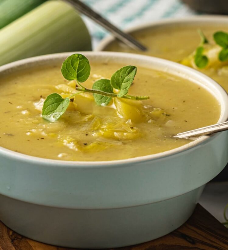 a bowl of chicken and leek soup